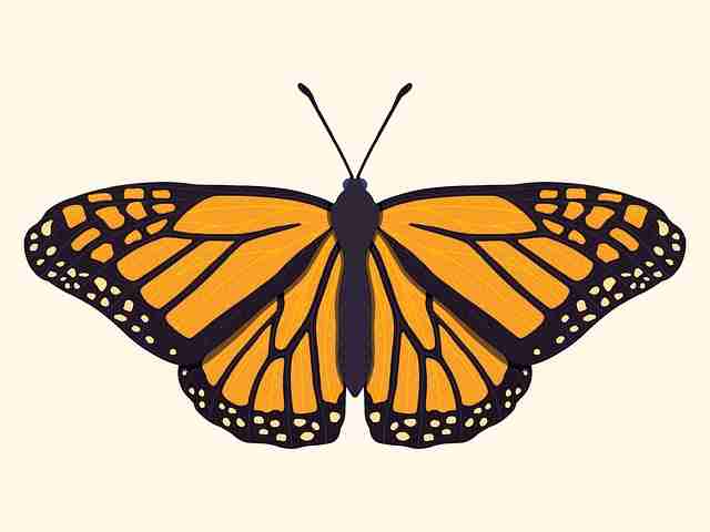 超清无水印【欲韵微澜】李钟硕×李知恩无删减加长珍藏版