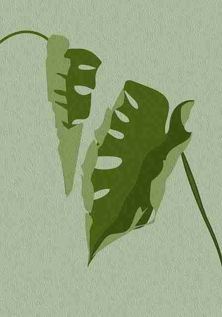 全网独家4K【深夜暗影】朴信惠×赵丽颖燃情低语4K全景声超清随心看