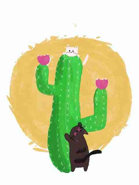 黑料疯传！黑料资源内容再度更新引争议（159 ）