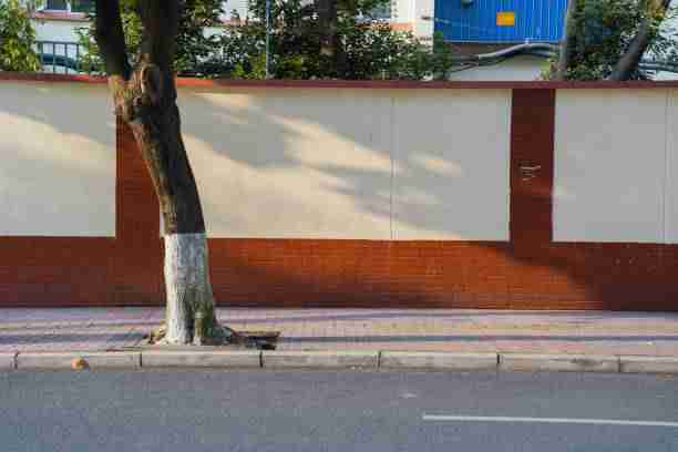 原盘级4K【爱的色放】邓伦×杨祐宁尺度突破秒播HDR高帧率