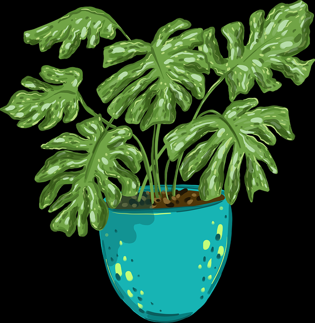 超高码率HDR【醉火漫舞】韩孝周×金智秀暗夜幽梦无会员极速观看  第1张